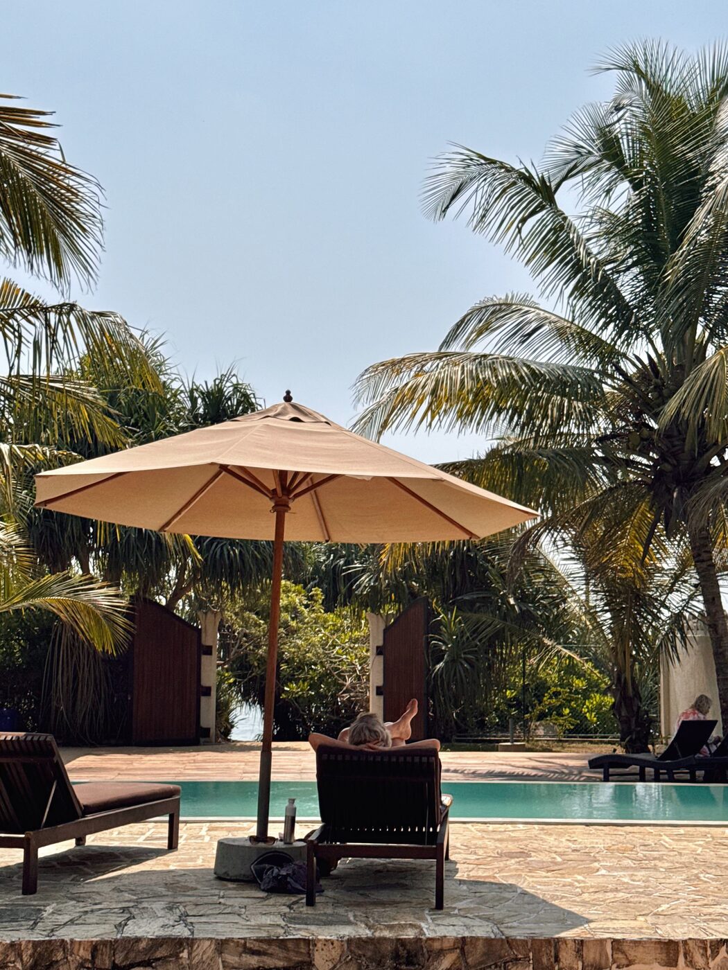 Poolside umbrella and loungers under palms
