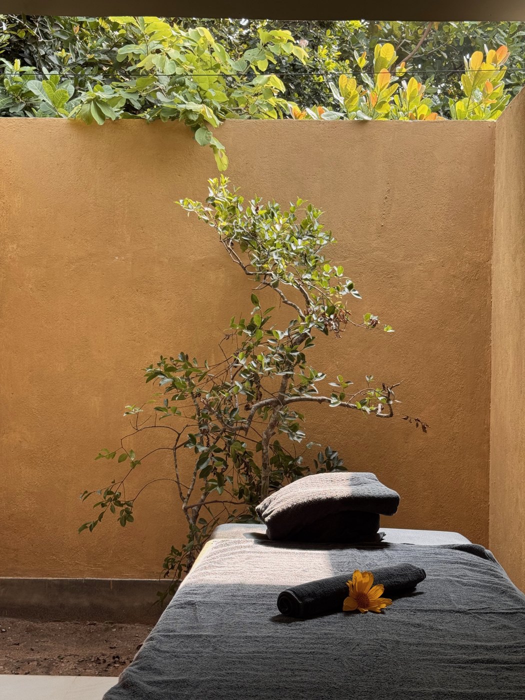 Spa treatment bed with a single orange flower against an ochre wall at Rekawa